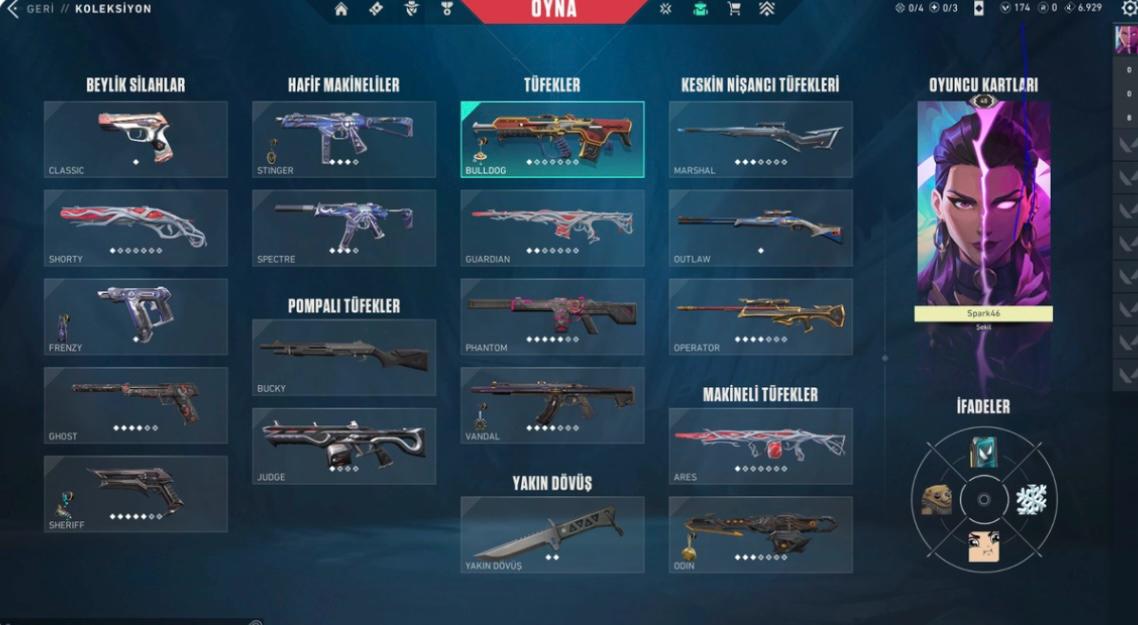 SİLVER ELO TÜM SİLAHLAR SKİNLİ HESAP